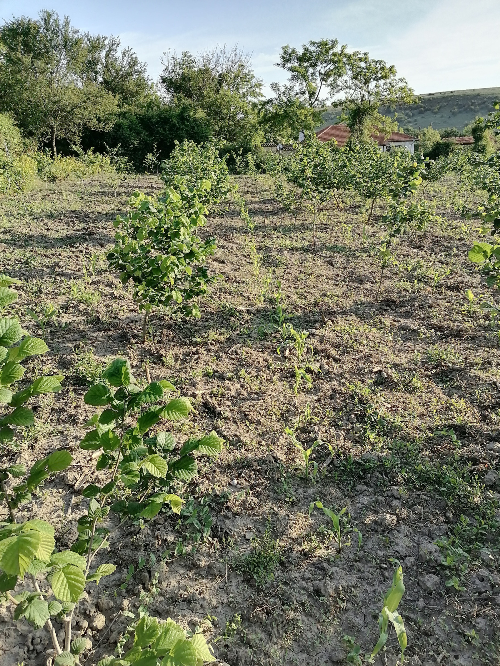 ������� ���� | Imot.bg � ����������� 2