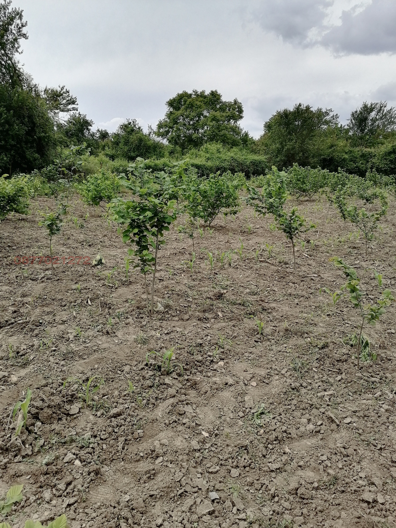 ������� ���� | Imot.bg � ����������� 10