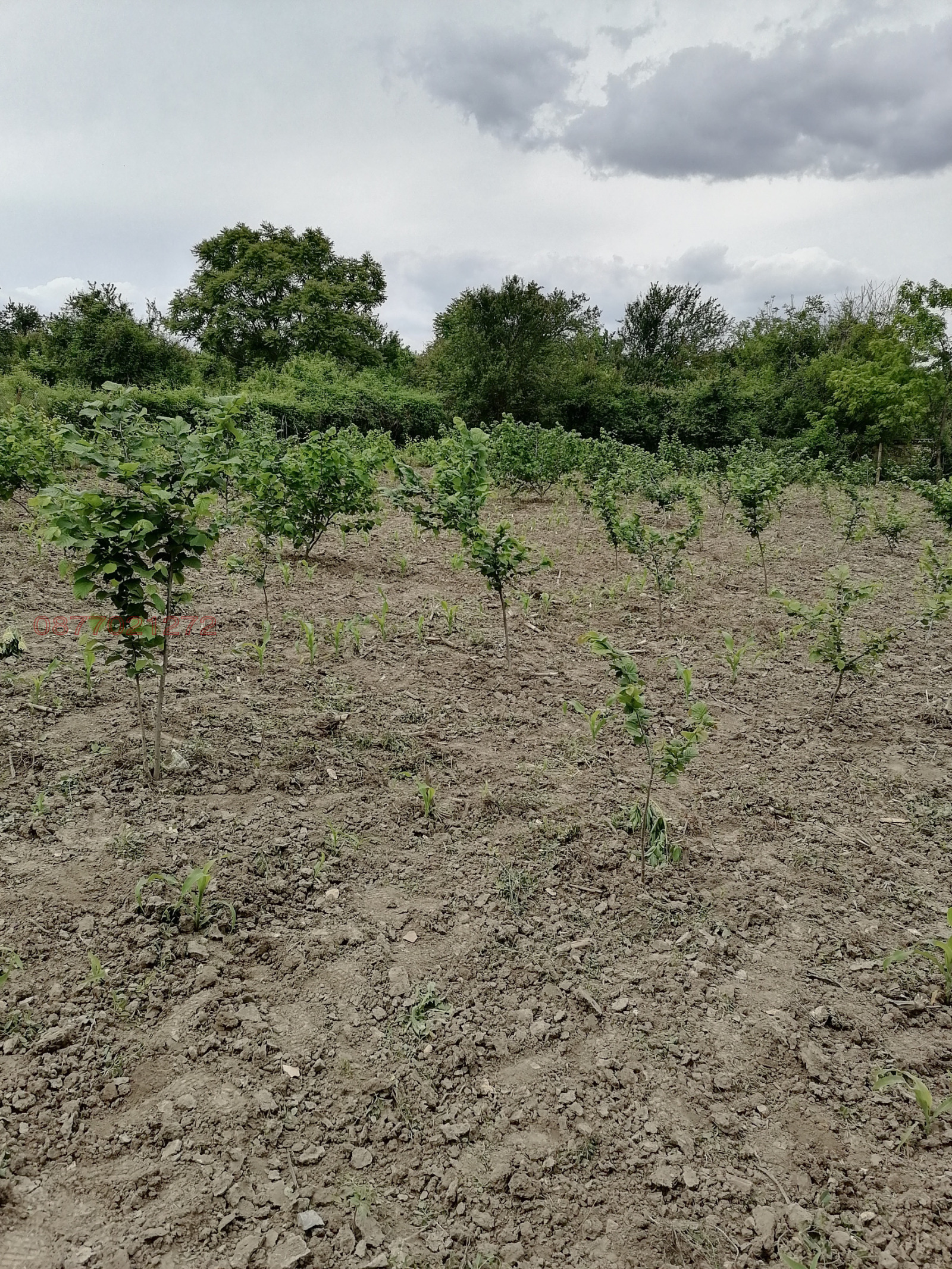 ������� ���� | Imot.bg � ����������� 9