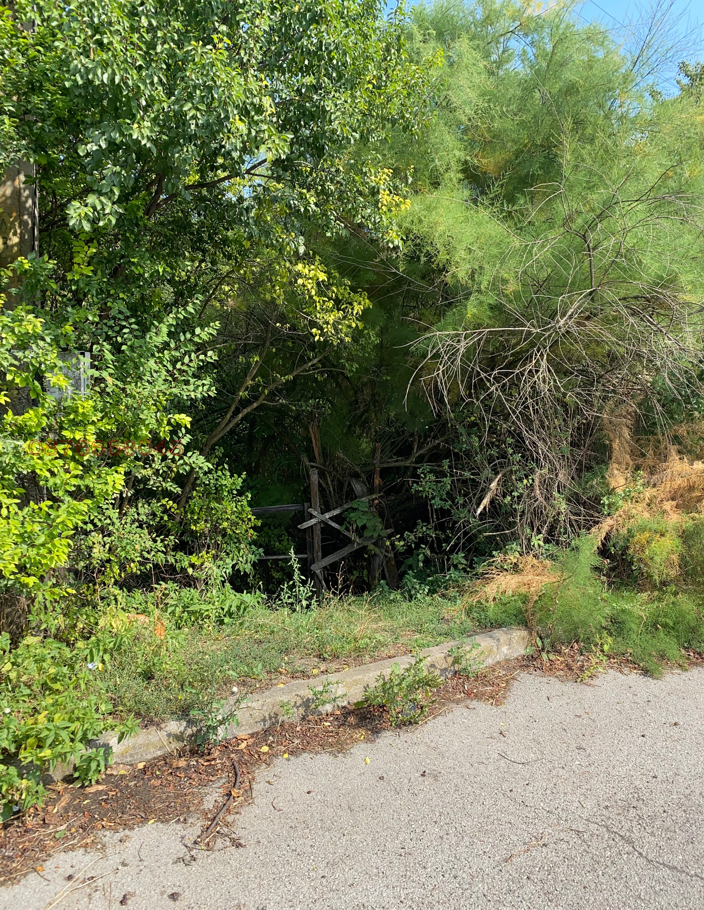 ������� ������ | Imot.bg � ����������� 14