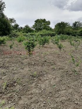 ������� ���� | Imot.bg � ����� ������ 10