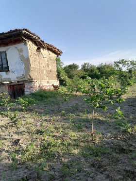 ������� ���� | Imot.bg � ����� ������ 8