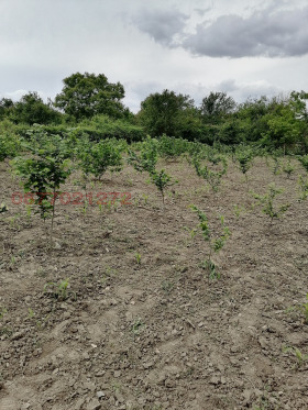 ������� ���� | Imot.bg � ����� ������ 9