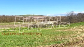 ������� ������ | Imot.bg � ����� ������ 7