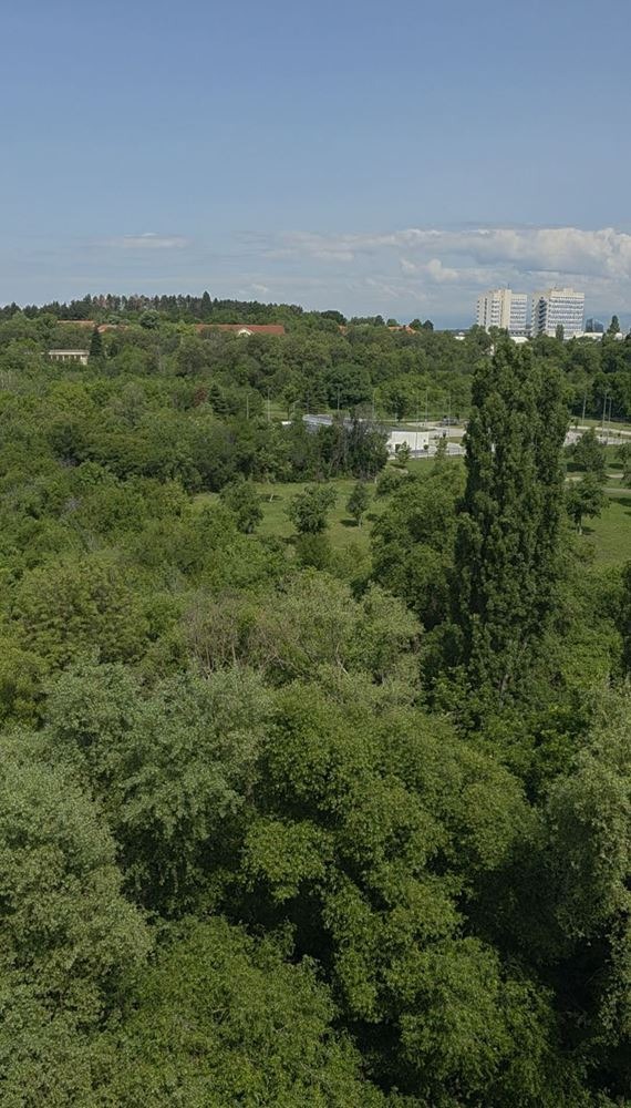 For Sale  1 bedroom Sofia , Mladost 4 , 80 sq.m | 53449591 - image [6]