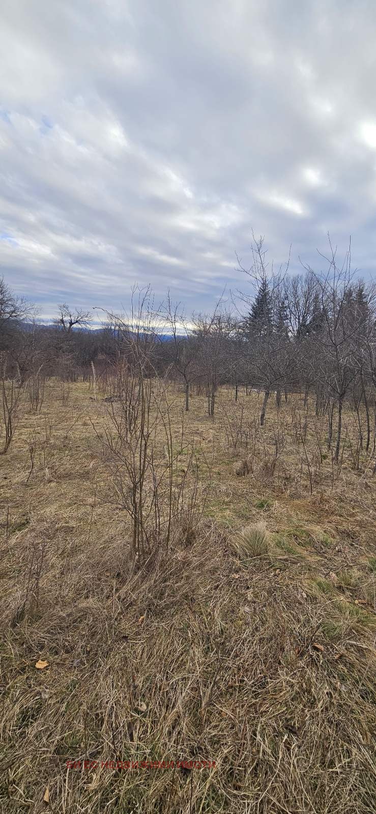 For Sale  Plot region Sofia , Ravnishte , 4000 sq.m | 67572805 - image [3]