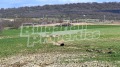 Продава ПАРЦЕЛ, с. Черни връх, област Бургас, снимка 9