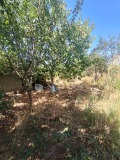 Продава  Къща област Търговище , с. Стража , 100 кв.м | 84749671 - изображение [13]