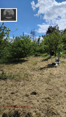 Plot Shatrovo, region Kyustendil
