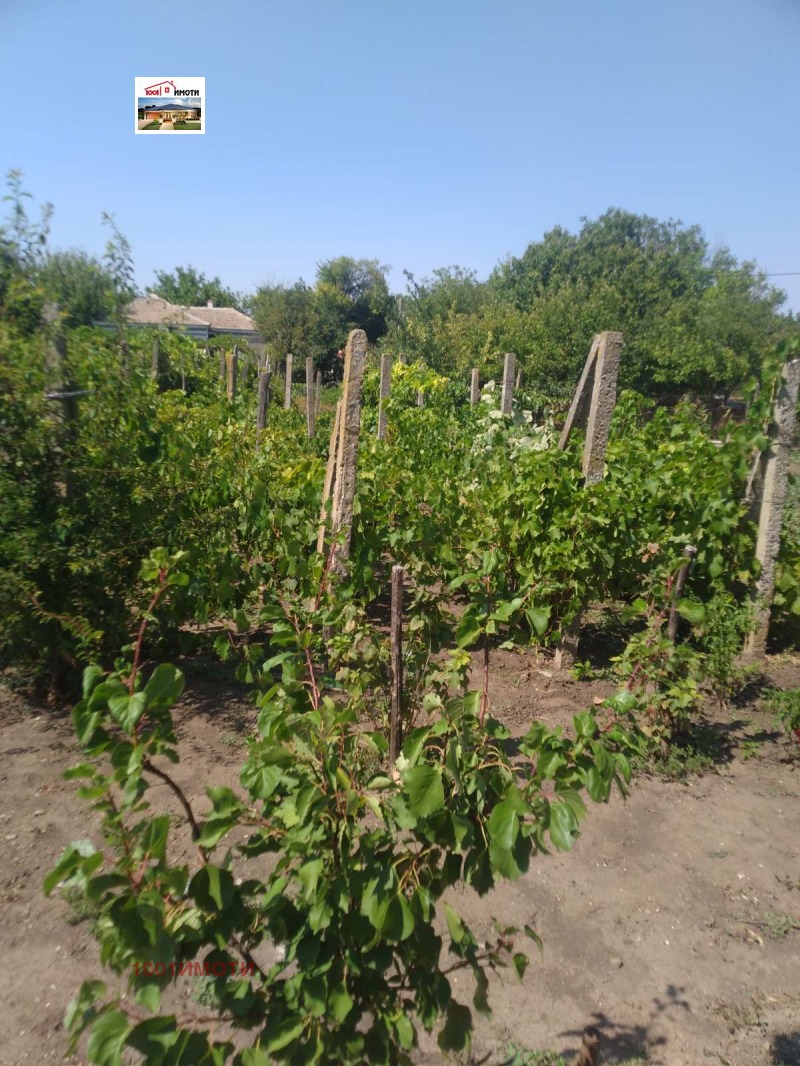 На продаж  Будинок область Добрич , Септемврийци , 120 кв.м | 65459455 - зображення [2]