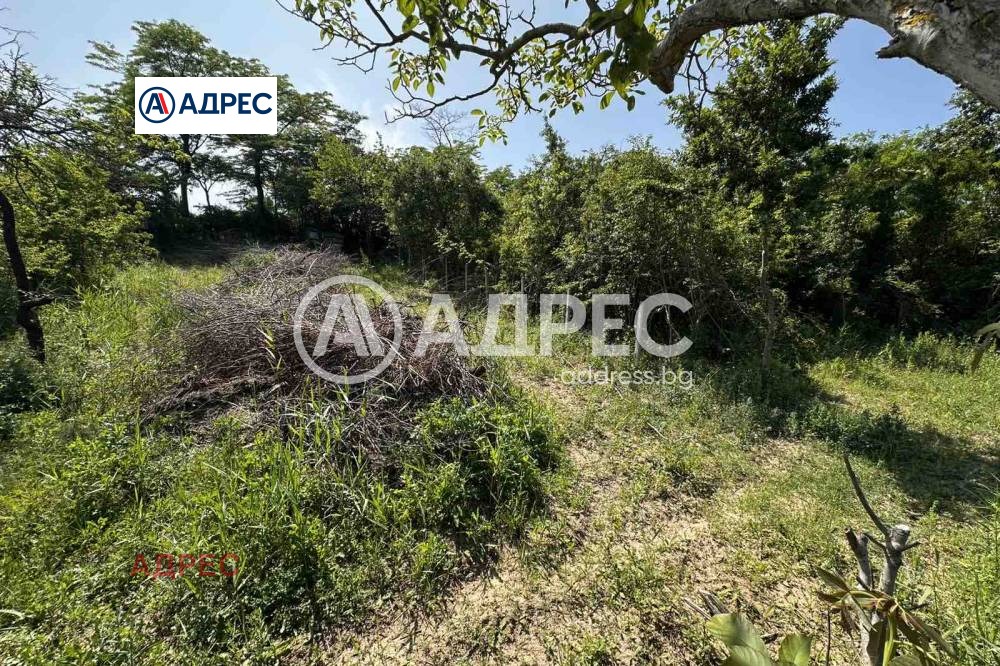 ������� ������ | Imot.bg � ����������� 1