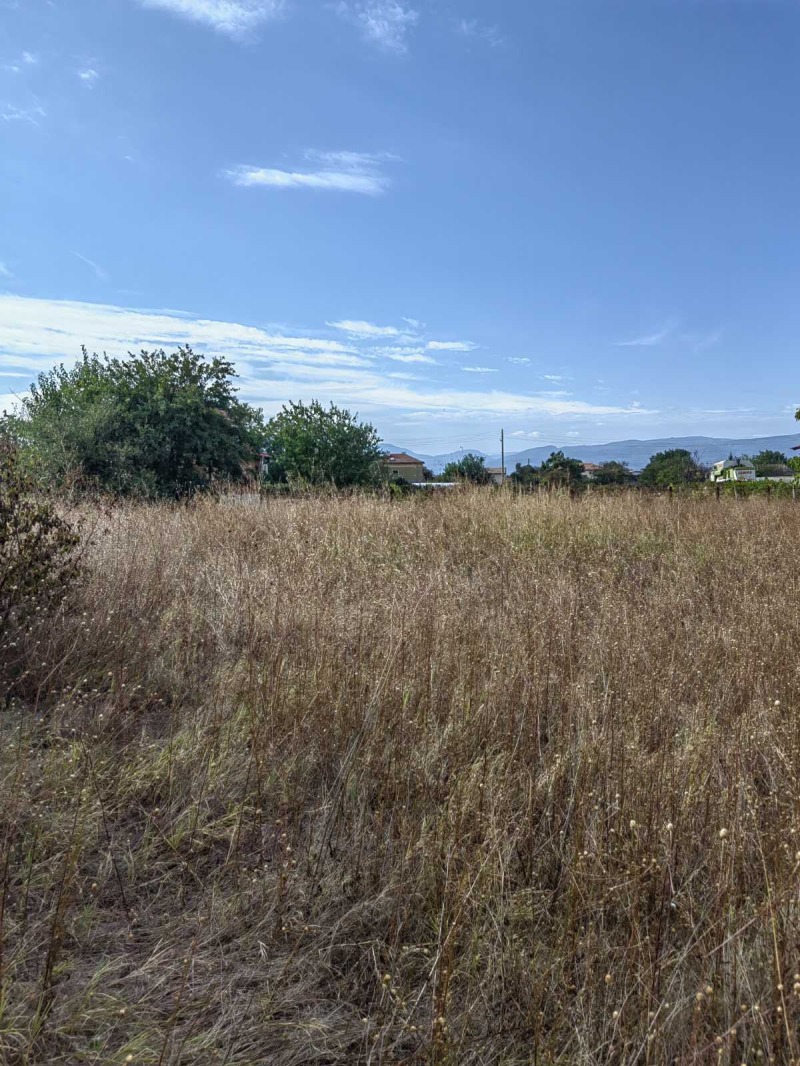 Продава  Парцел област Пловдив , с. Кочево , 788 кв.м | 78405020