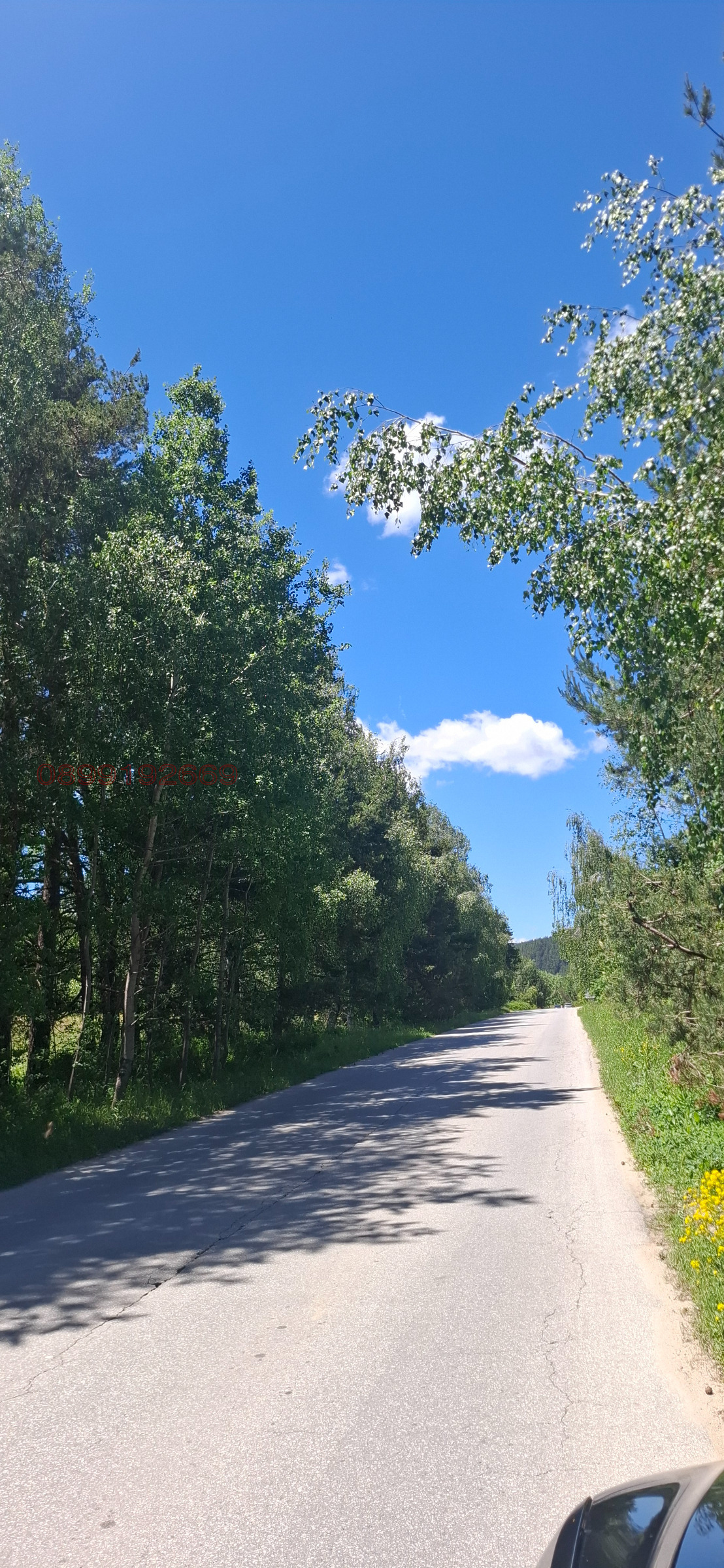Продава ПАРЦЕЛ, гр. Батак, област Пазарджик, снимка 2 - Парцели - 55012566