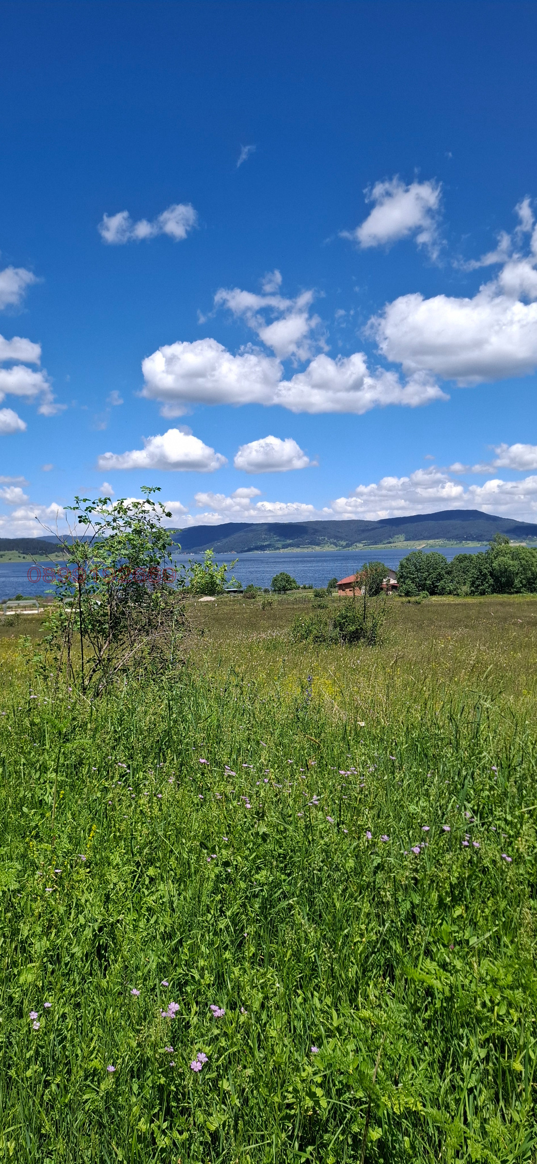 Продава ПАРЦЕЛ, гр. Батак, област Пазарджик, снимка 3 - Парцели - 55012566