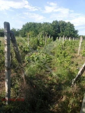 Complot Gorna mahala, regiunea Plovdiv 2