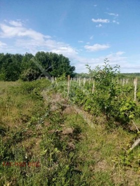 Complot Gorna mahala, regiunea Plovdiv 3