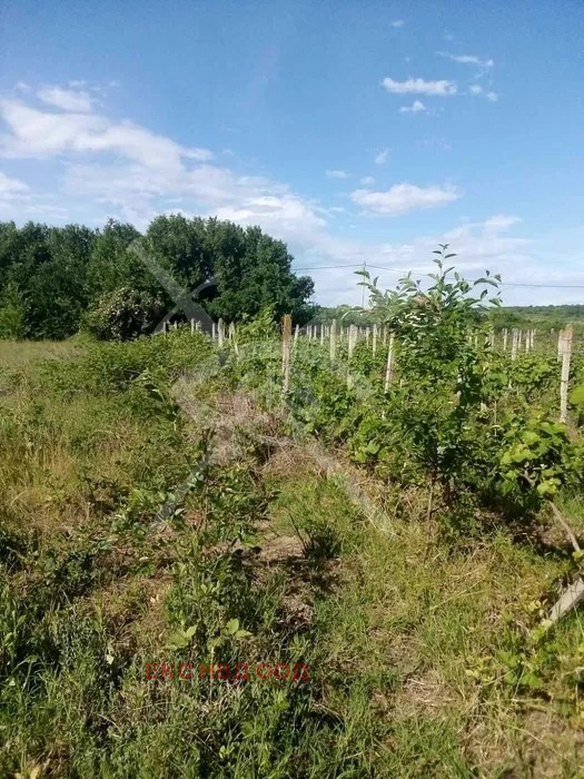 De vânzare  Complot regiunea Plovdiv , Gorna mahala , 3000 mp | 61870873 - imagine [3]