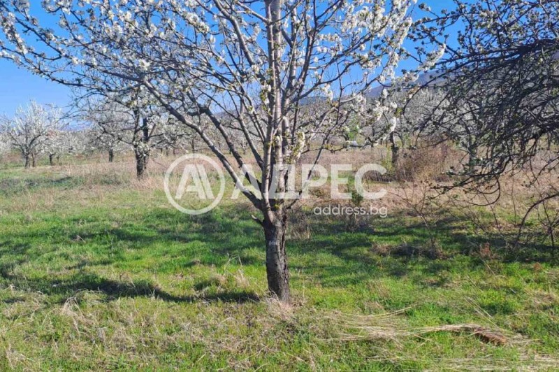 Продава ПАРЦЕЛ, с. Брестник, област Пловдив