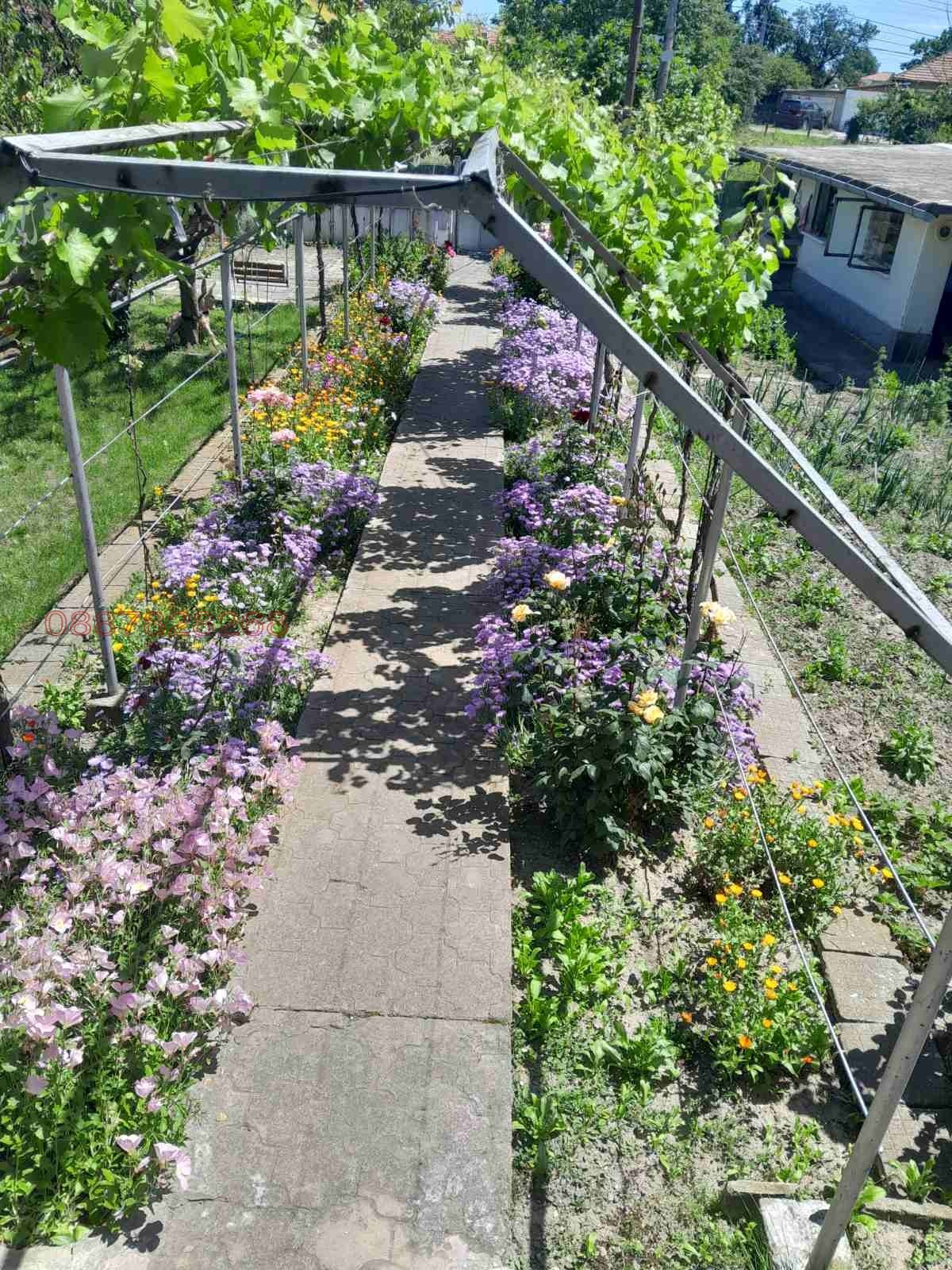 ������� ���� | Imot.bg � ����������� 11