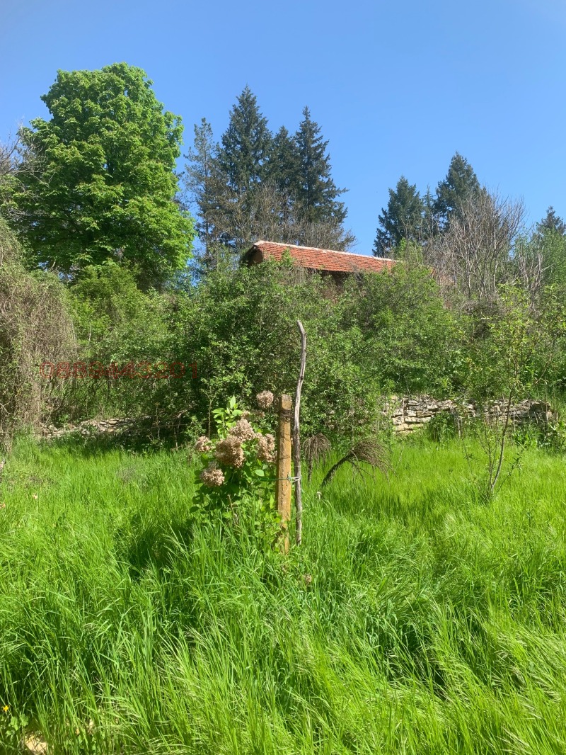 Продава КЪЩА, с. Беглеж, област Плевен, снимка 12 - Къщи - 53079205