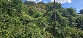 ������� ������ | Imot.bg � ����� ������ 7