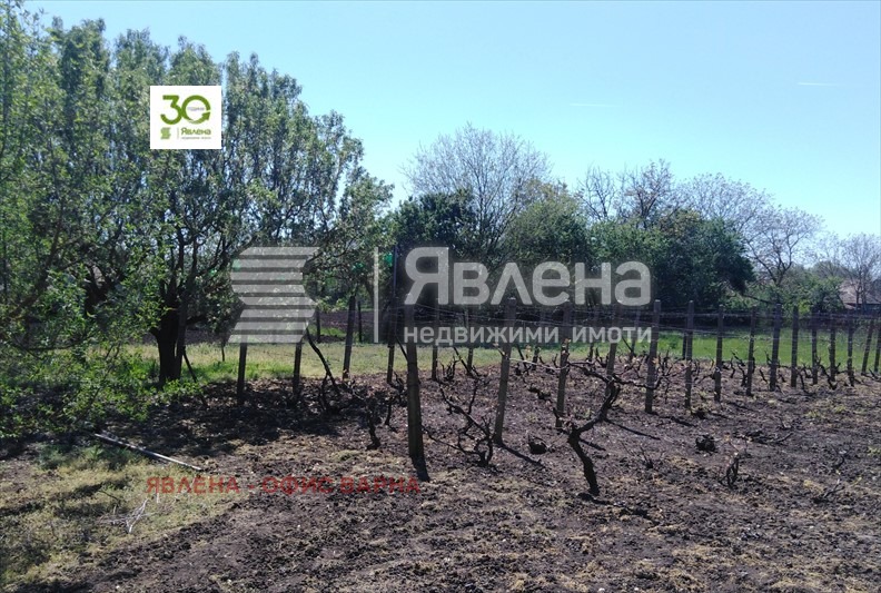 Продава КЪЩА, с. Белгун, област Добрич, снимка 8 - Къщи - 53049038