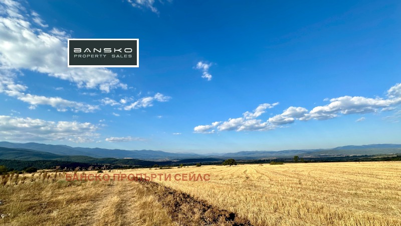 For Sale  Plot region Blagoevgrad , Razlog , 2590 sq.m | 41864132 - image [5]