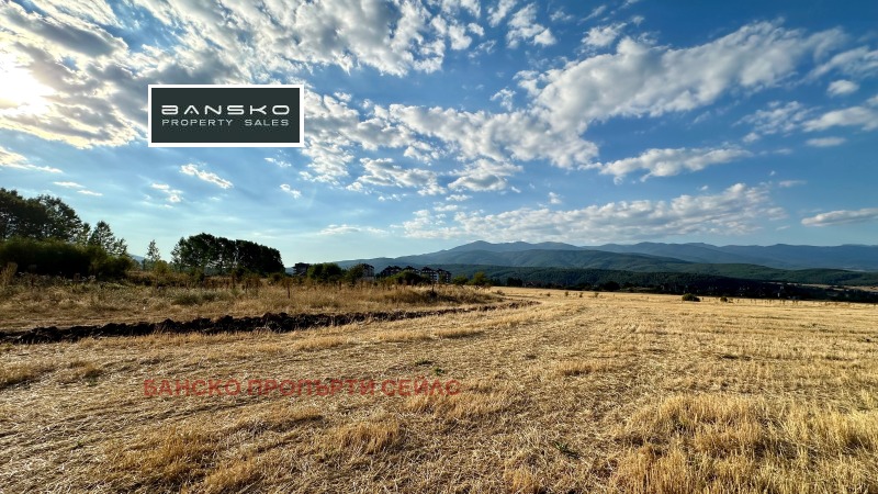 For Sale  Plot region Blagoevgrad , Razlog , 2590 sq.m | 41864132 - image [8]