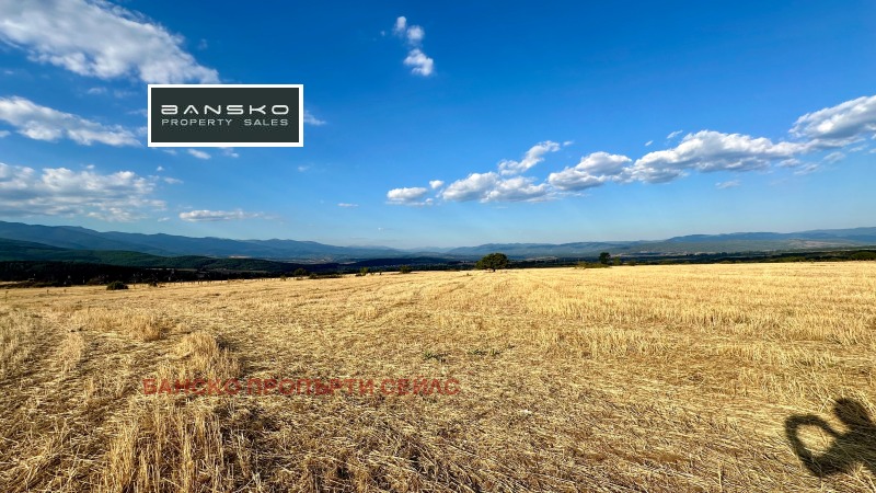 For Sale  Plot region Blagoevgrad , Razlog , 2590 sq.m | 41864132 - image [4]