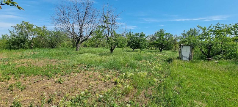 De vânzare  Complot Razgrad , Promișlena zona - Zapad , 895 mp | 43160745 - imagine [3]