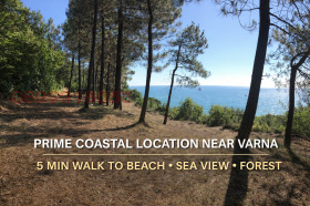 ����� ������� ������,���� �����, �-� ���������