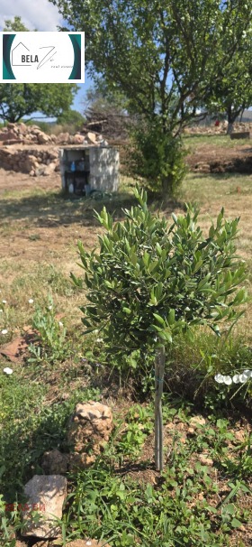 ������� ������ | Imot.bg � ����� ������ 5