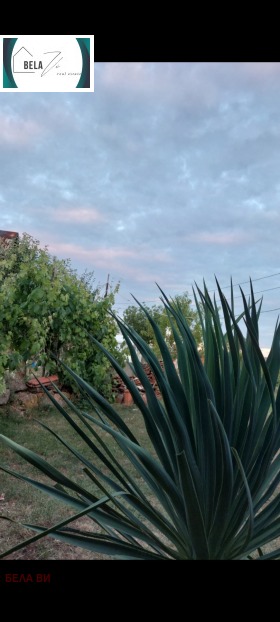 ������� ������ | Imot.bg � ����� ������ 7