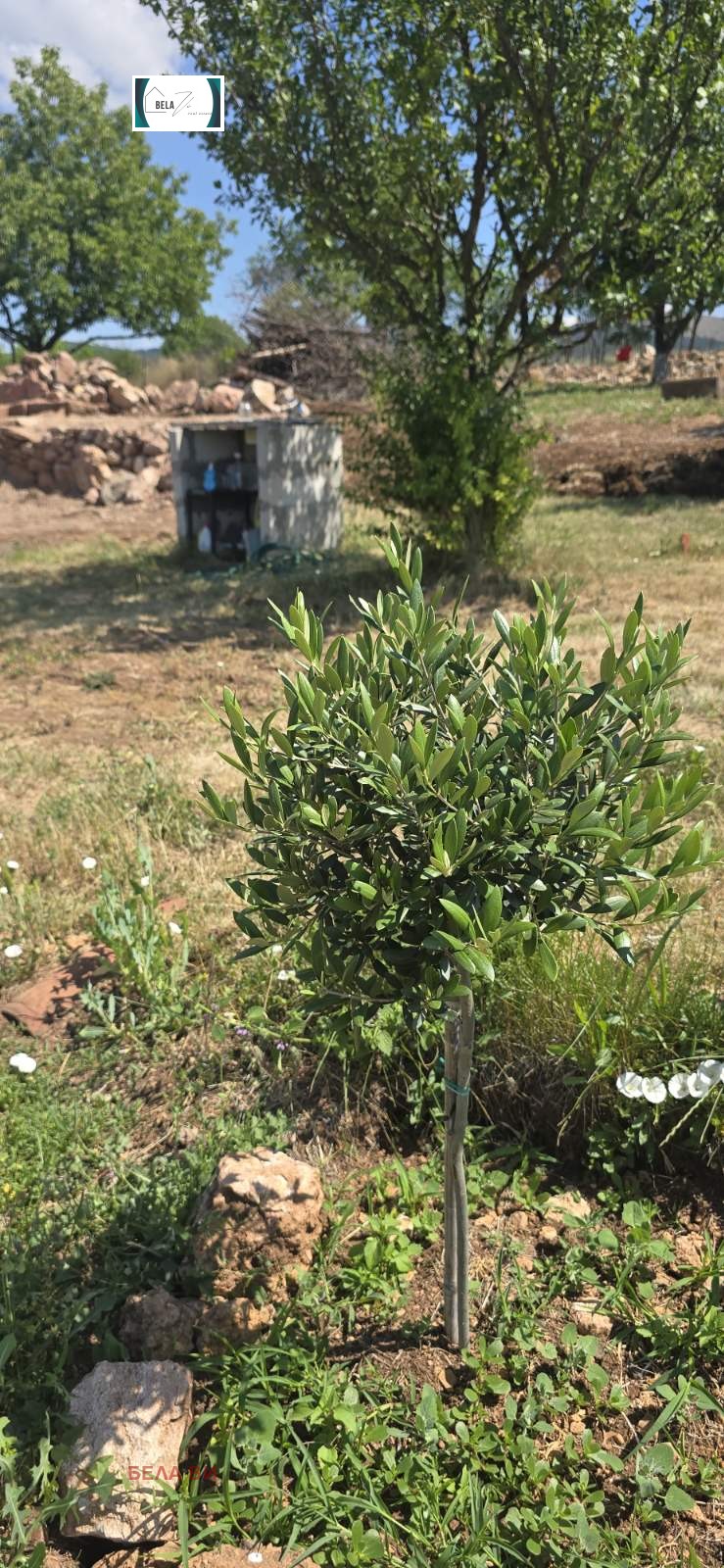 Продава ПАРЦЕЛ, с. Старо село, област Перник, снимка 3 - Парцели - 55091237