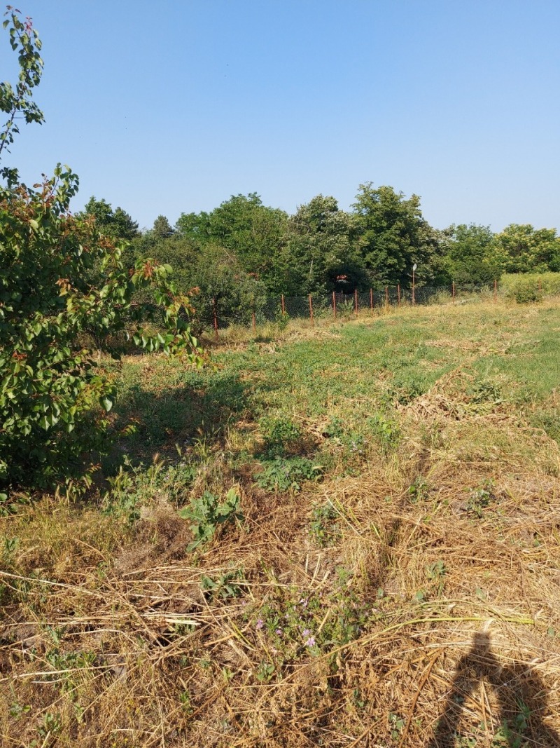 Продава  Пром. помещение област Русе , с. Николово , 140 кв.м | 52618173 - изображение [7]