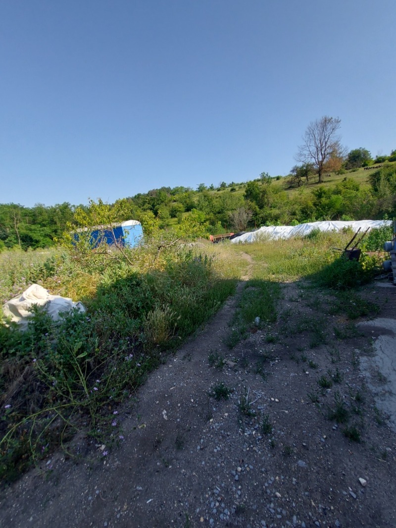 Продава  Пром. помещение област Русе , с. Николово , 140 кв.м | 52618173 - изображение [6]