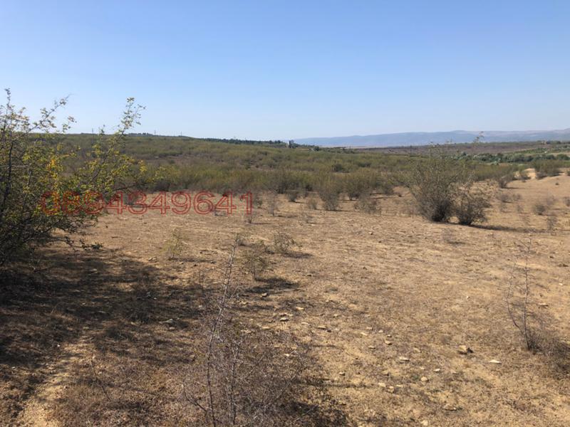 Продава ЗЕМЕДЕЛСКА ЗЕМЯ, с. Тънково, област Бургас, снимка 4 - Земеделска земя - 53931946