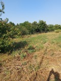 Продава ПРОМ. ПОМЕЩЕНИЕ, област Русе, с. Николово • 185000 лв. • 30053234 — Holmes.bg