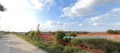 Продава ПАРЦЕЛ, област Бургас, гр. Обзор • 67000 € • 68368900 — Holmes.bg