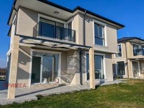 ����� ������� ����,���� ������, ��������