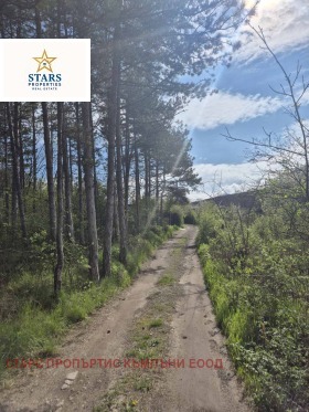 ������ ������� ������