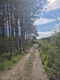 Продава ПАРЦЕЛ, гр. Варна, м-т Горна Трака, снимка 1