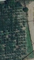 Продава ПАРЦЕЛ, с. Шаново, област Стара Загора, снимка 5
