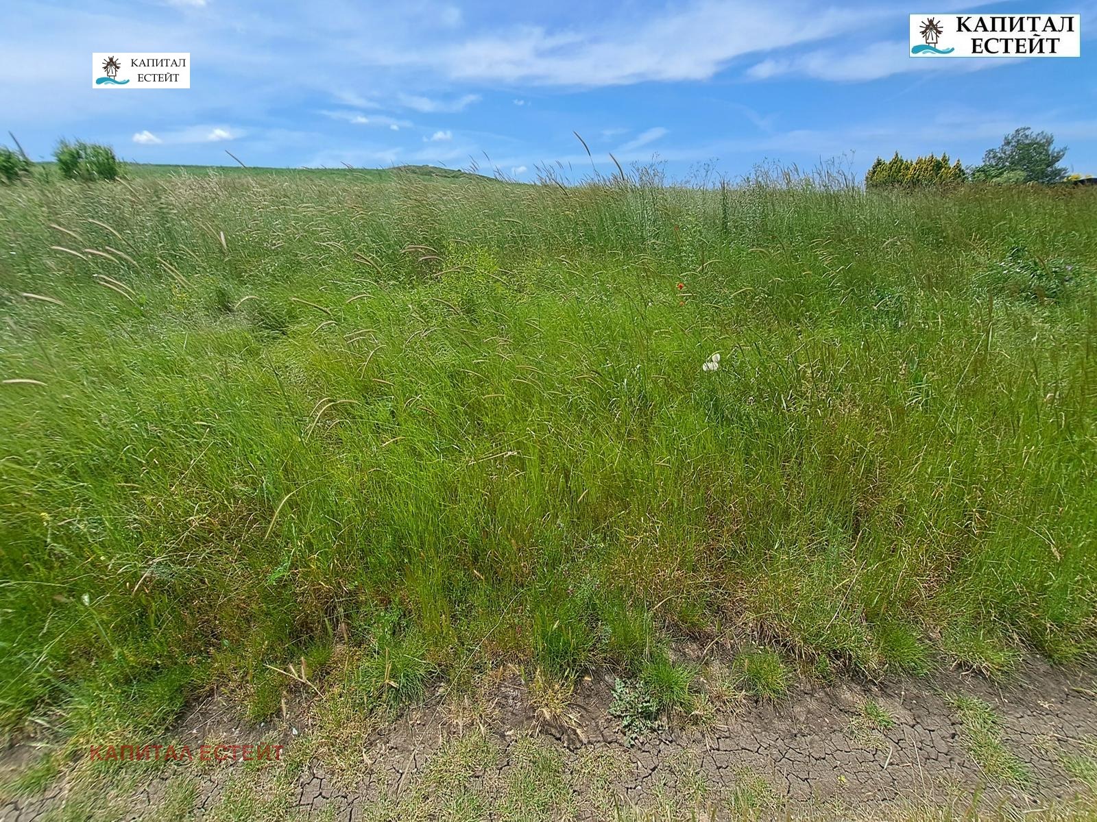 Продава ПАРЦЕЛ | Imot.bg — изображение 4