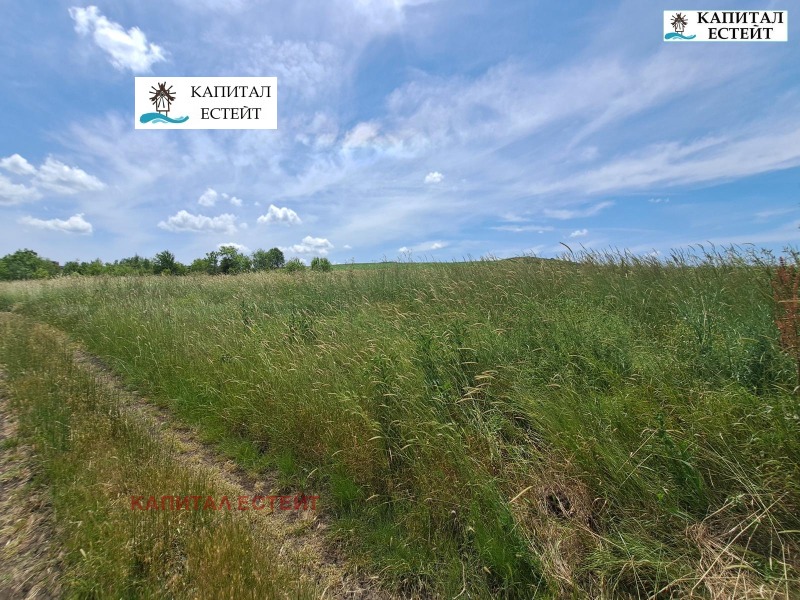 Продава ПАРЦЕЛ, с. Александрово, област Бургас, снимка 2 - Парцели - 52161843