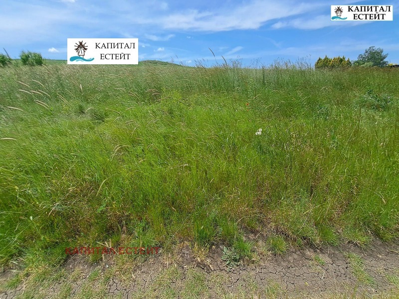 Продава ПАРЦЕЛ, с. Александрово, област Бургас, снимка 3 - Парцели - 52161843