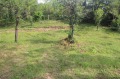 Продава ПАРЦЕЛ, област Габрово, с. Трънито • 28000 лв. • 89667385 — Holmes.bg