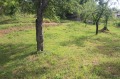 Продава ПАРЦЕЛ, област Габрово, с. Трънито • 28000 лв. • 89667385 — Holmes.bg