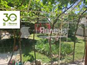 ����� ������� ����,�. �������, ������ �����