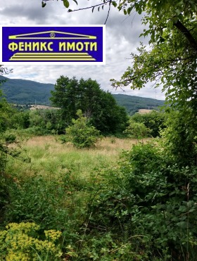 Land Vrattsa, region Kyustendil 3